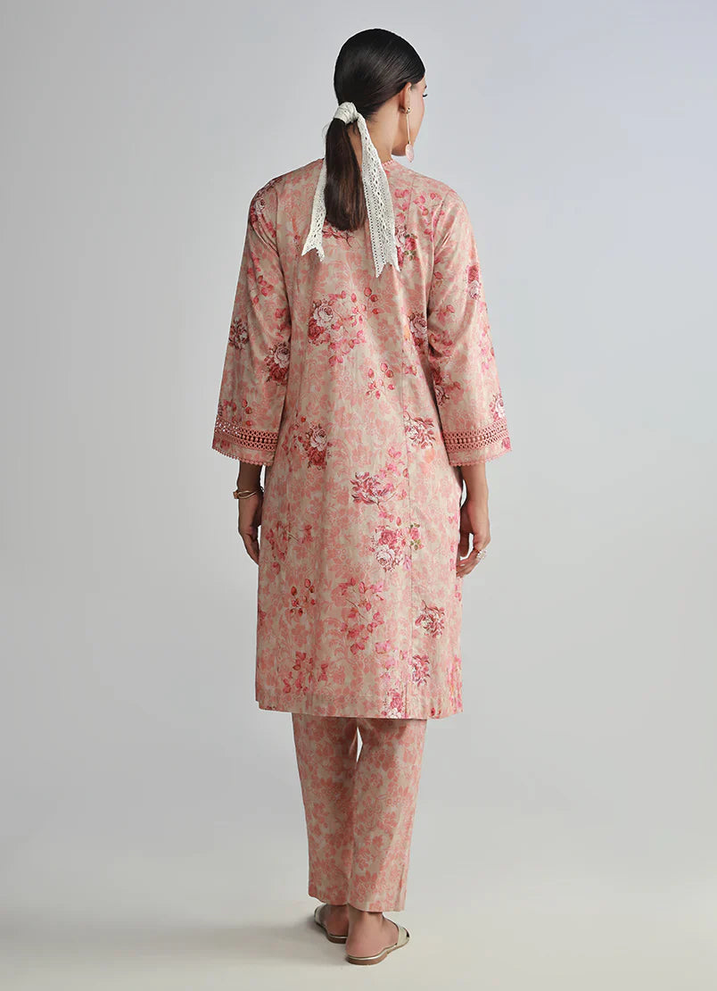 Image Spring Basics'25  - IMPRSS-213912