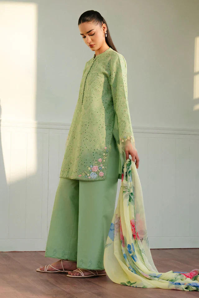 Coco Lawn' 25 - TINA-3B