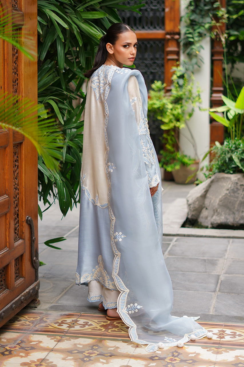 Lana '24 -  Rysa (RTS)